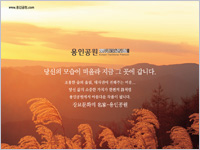 정남지 신문 광고 3